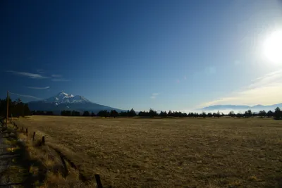 DSC_2995 (Large).JPG